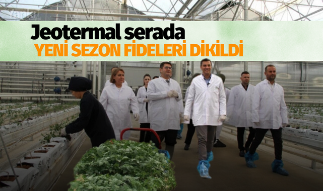 Jeotermal serada yeni sezon fideleri dikildi