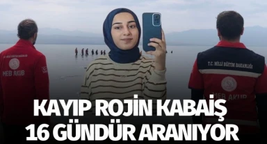 Kayıp Rojin Kabaiş 16 gündür aranıyor