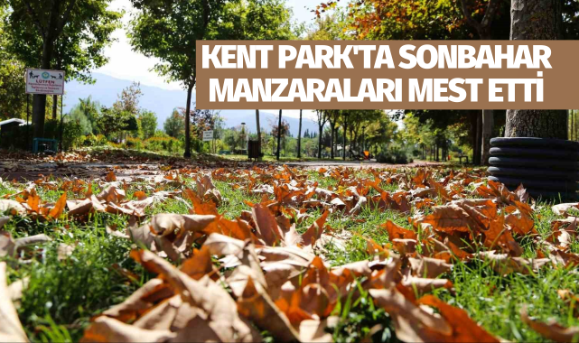 Kent Park'ta sonbahar manzaraları mest etti