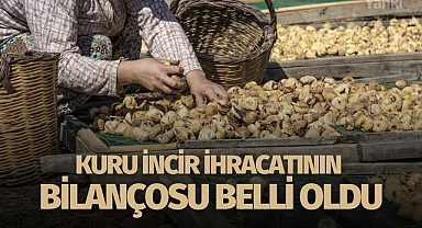 Kuru incir ihracatının bilançosu belli oldu