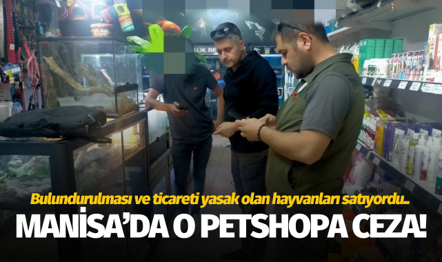 Manisa'da bulundurulması ve ticareti yasak olan hayvanları satan petshopa ceza!