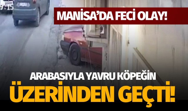 Manisa'da feci olay: Arabasıyla yavru köpeğin üzerinden geçti!