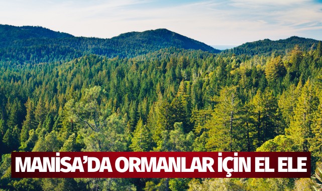 Manisa'da ormanlar için el ele