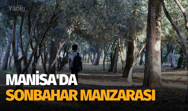 Manisa'da sonbahar manzarası