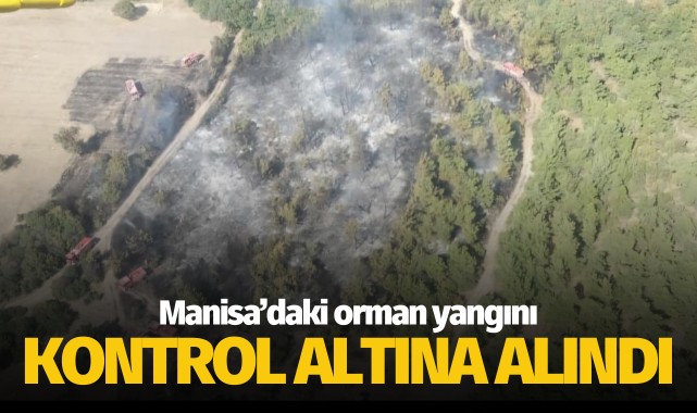 Manisa'daki orman yangını kontrol altına alındı