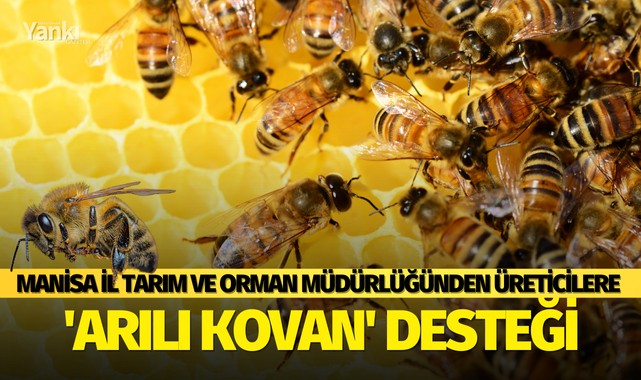 Manisa İl Tarım ve Orman Müdürlüğünden üreticilere 'Arılı Kovan' desteği