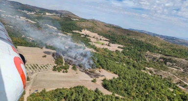 Manisa'da korkutan orman yangını! Müdahale devam ediyor..