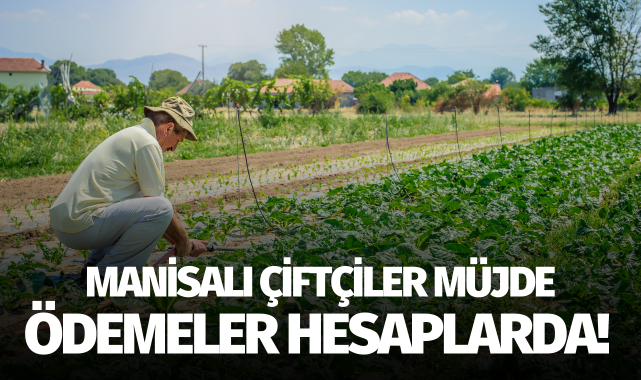 Manisalı çiftçiler müjde: Ödemeler hesaplarda!