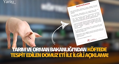 Tarım ve Orman Bakanlığı'ndan köftede tespit edilen domuz eti ile ilgili açıklama!