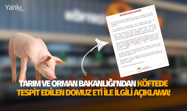 Tarım ve Orman Bakanlığı'ndan köftede tespit edilen domuz eti ile ilgili açıklama!