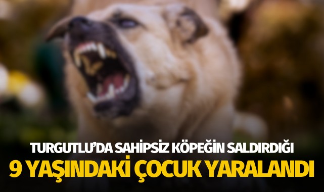 Turgutlu'da sahipsiz köpeğin saldırdığı 9 yaşındaki çocuk yaralandı!