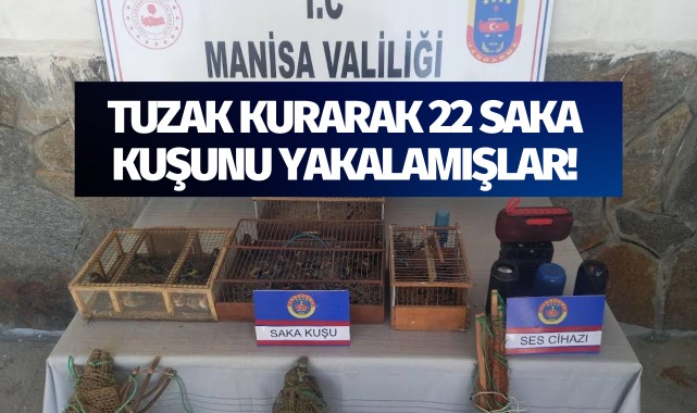 Tuzak kurarak 22 saka kuşunu yakalamışlar!