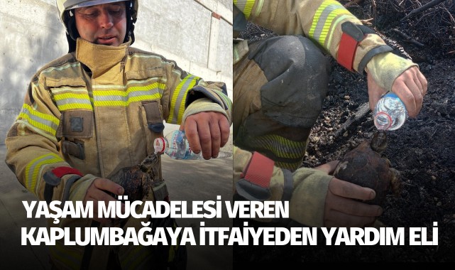 Yangın sonrası yaşam mücadelesi veren kaplumbağaya itfaiyeden yardım eli