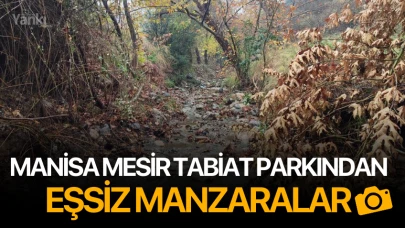 Manisa Mesir Tabiat Parkından eşsiz manzaralar