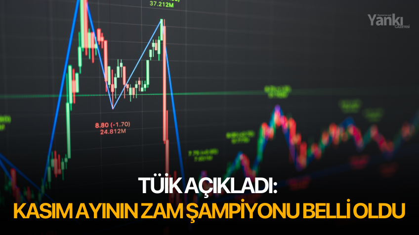 TÜİK açıkladı: Kasım ayının zam şampiyonu belli oldu