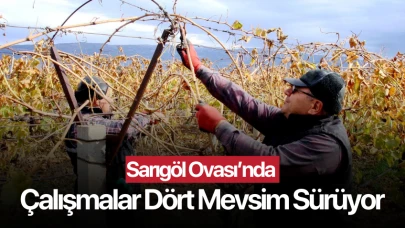 Sarıgöl Ovasında çalışalar dört mevsim sürüyor