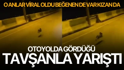 Otoyolda gördüğü tavşanla yarıştı