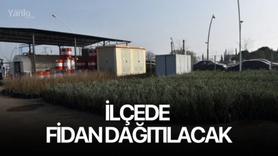 İlçede fidan dağıtacak