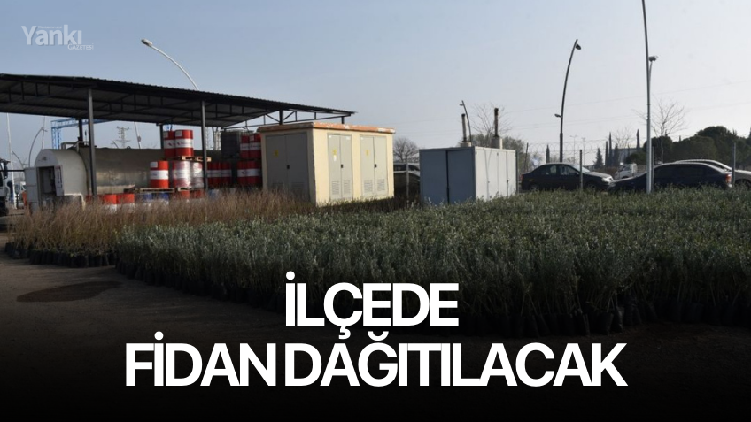 İlçede fidan dağıtacak