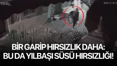 Bir garip hırsızlık daha: Bu da yılbaşı süsü hırsızlığı!