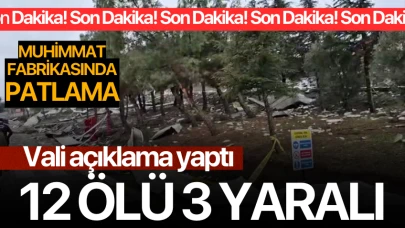 Mühimmat fabrikasında patlama: 12 ölü 3 yaralı