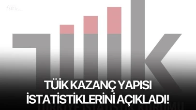 TÜİK Kazanç Yapısı İstatistiklerini Açıkladı!