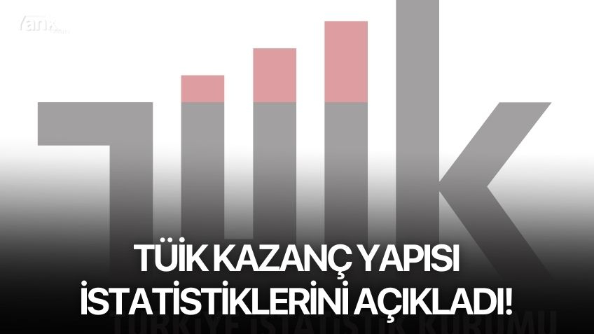 TÜİK Kazanç Yapısı İstatistiklerini Açıkladı!