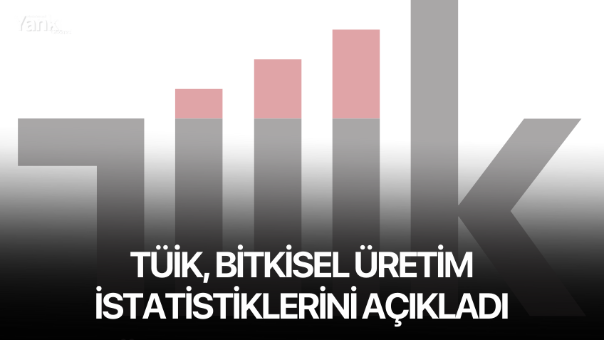 TÜİK, Bitkisel Üretim İstatistiklerini Açıkladı