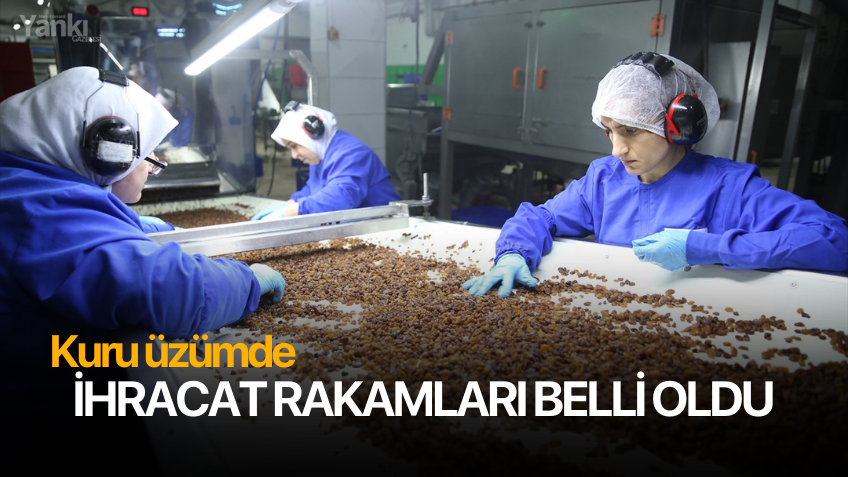 Kuru üzümde ihracat rakamları belli oldu