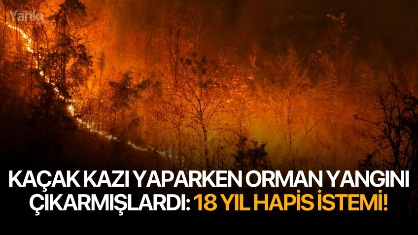 Kaçak kazı yaparken orman yangını çıkarmışlardı: 18 yıl hapis istemi!