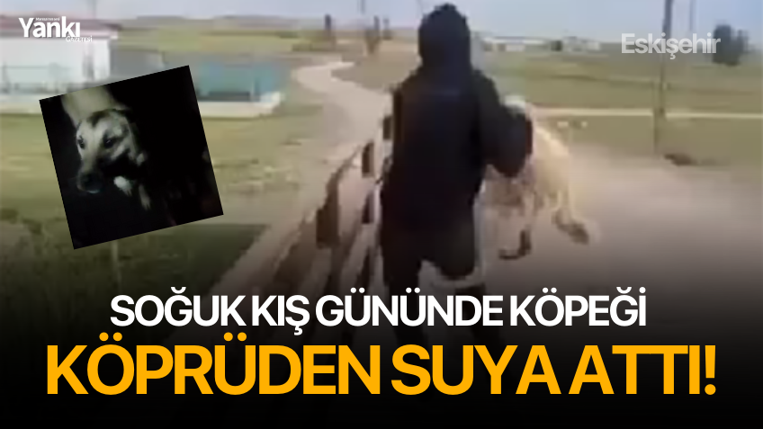 Soğuk kış gününde köpeği köprüden suya attı!