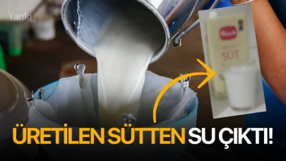 Üretilen sütten su çıktı!