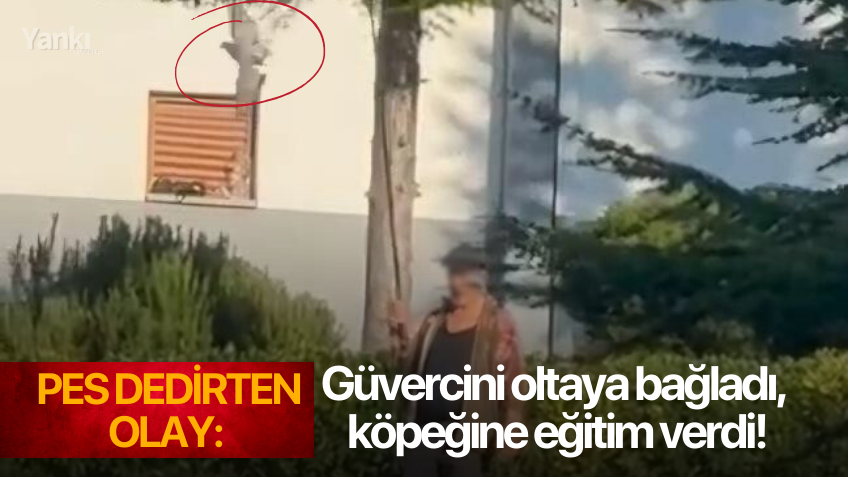 Pes dedirten olay: Güvercini oltaya bağladı, köpeğine eğitim verdi!