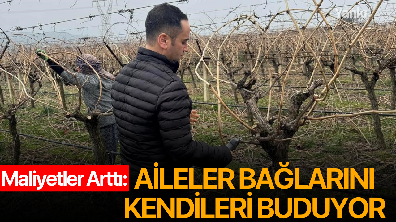 Maliyetler Arttı: Aileler bağlarını kendileri buduyor