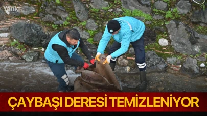 Çaybaşı Deresi Temizleniyor