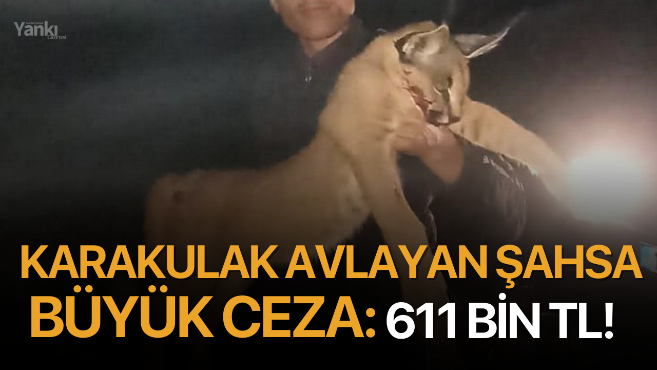 Karakulak avlayan şahsa büyük ceza: 611 bin TL!