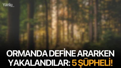 Ormanda define ararken yakalandılar: 5 şüpheli!