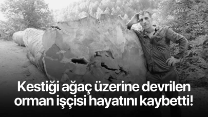 Kestiği ağaç üzerine devrilen orman işçisi hayatını kaybetti