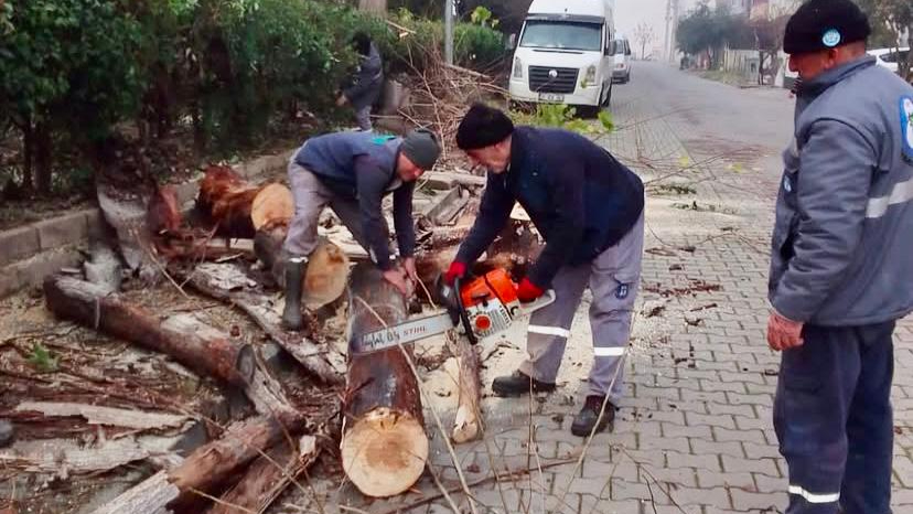 Gence Sokak’ta Baharın Dokunuşu