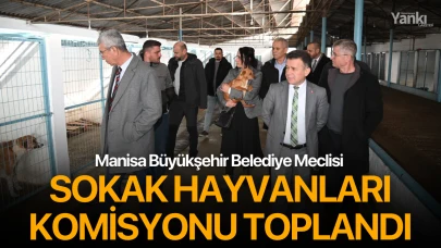 Manisa Büyükşehir Belediye Meclisi Sokak Hayvanları Komisyonu Toplandı