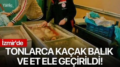 İzmir'de tonlarca kaçak balık ve et ele geçirildi!