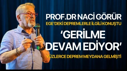 Prof. Dr. Naci Görür, Ege Denizi'ndeki depremleri değerlendirdi