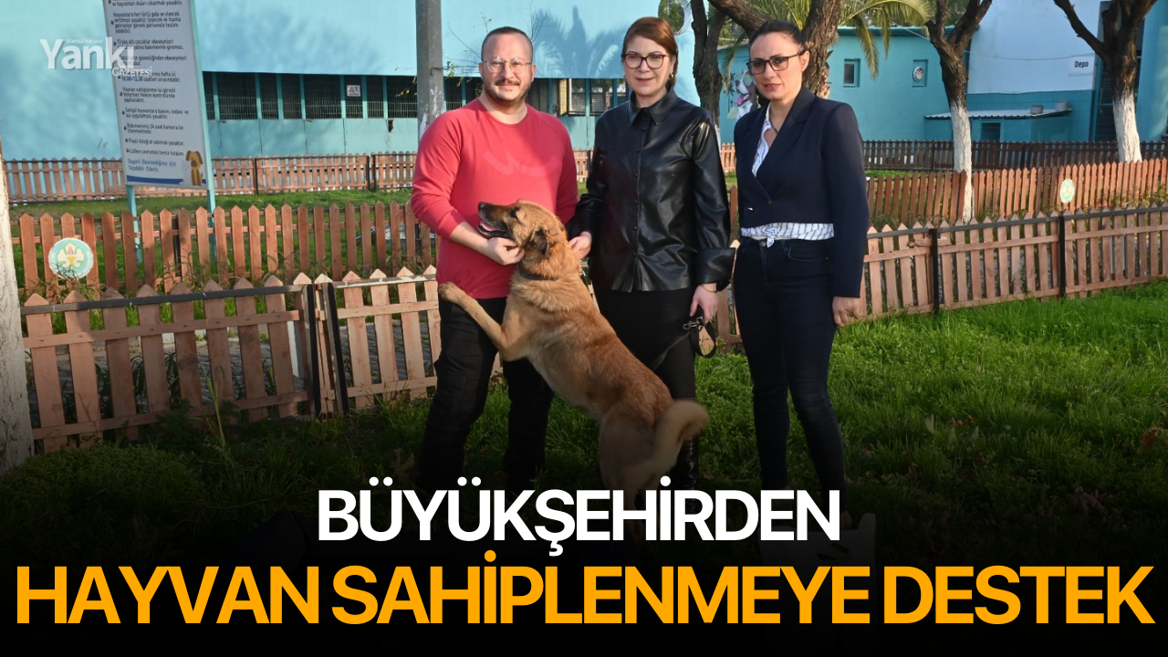 Büyükşehirden Hayvan Sahiplenmeye Destek