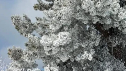 Demirci Büyük Yayla Beyaza Büründü