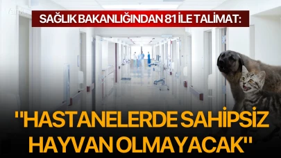 Sağlık Bakanlığından 81 ile talimat: "Hastanelerde sahipsiz hayvan olmayacak"