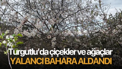 Turgutlu’da çiçekler ve ağaçlar yalancı bahara aldandı