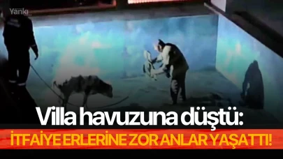 Villa havuzuna düştü: İtfaiye erlerine zor anlar yaşattı!