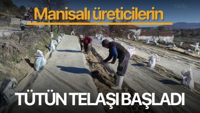 Manisalı üreticilerin tütün telaşı başladı