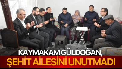 Kaymakam Güldoğan, şehit ailesini unutmadı