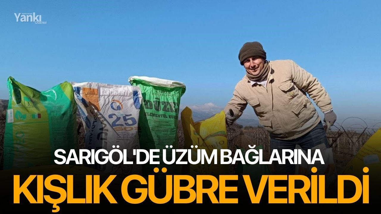 Sarıgöl'de üzüm bağlarına kışlık gübre verildi